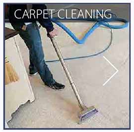 our arlington carpet cleaning services