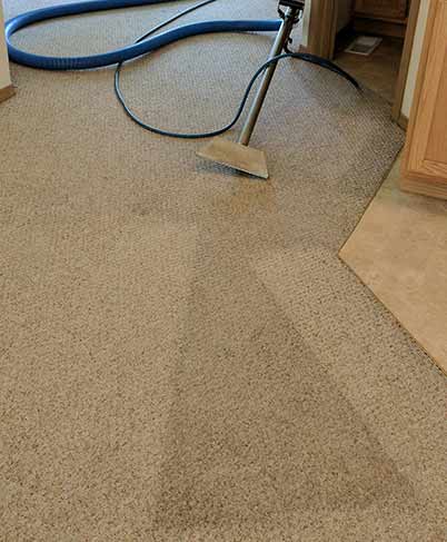 renewed carpet after cleaning
